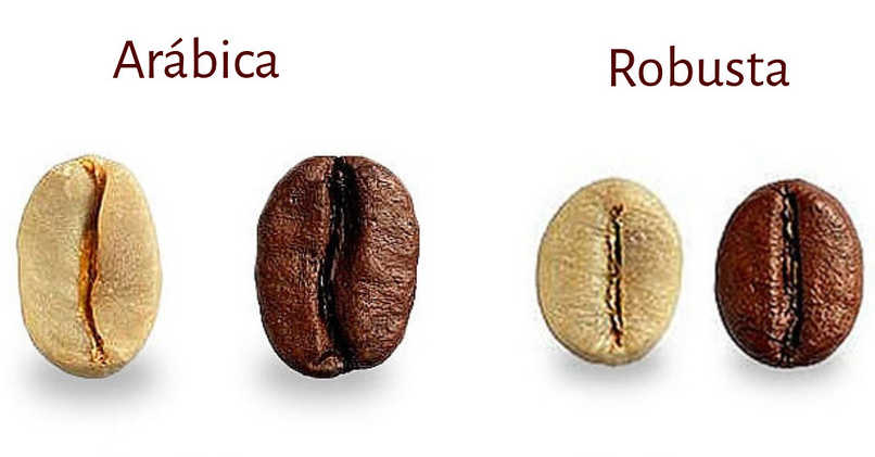 Café Variedad Arábica, Café Robusta, Diferencias de Café, Café de Especialidad