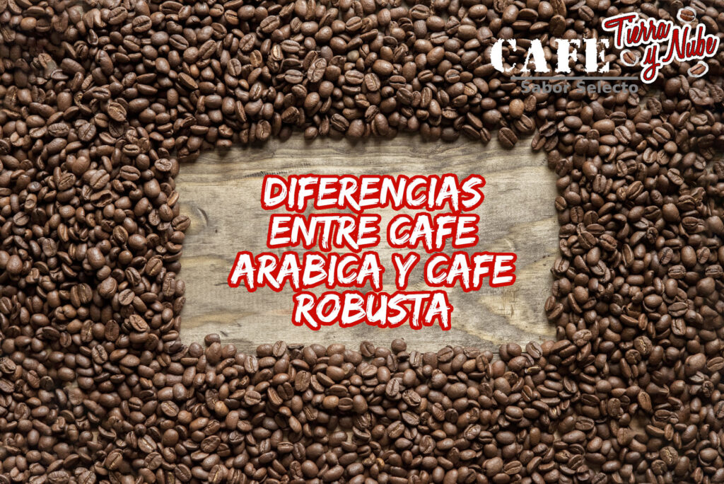Café Variedad Arábica, Café Variedad Robusta, Dferencia de Cafés