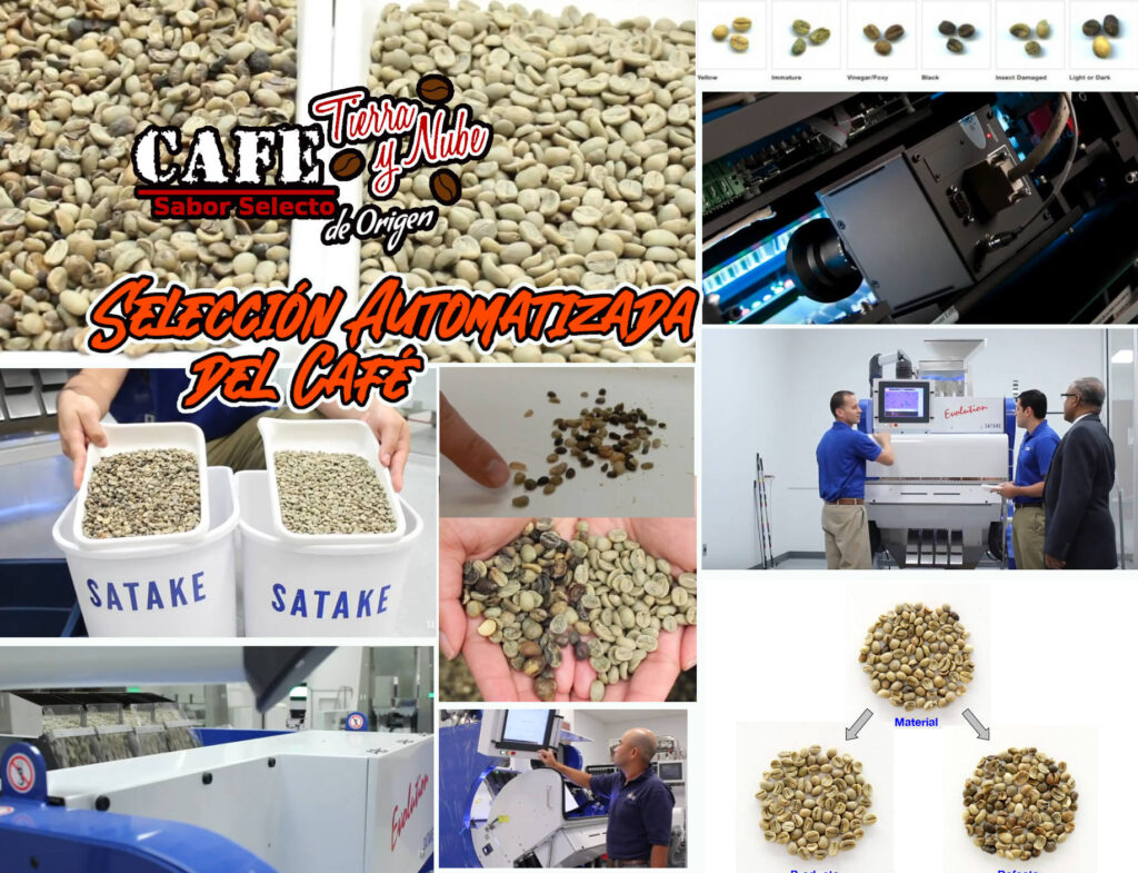 Selección automatiza del café para separación de granos por sus defectos