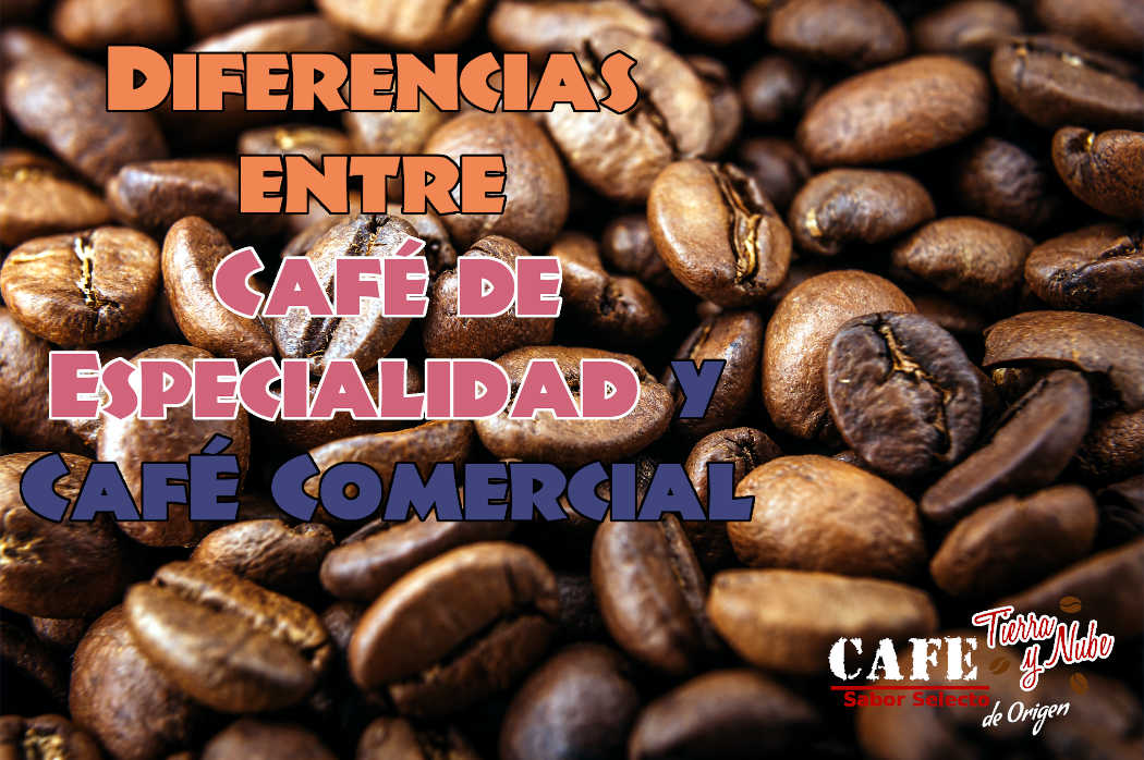 Café de Especialidad, café comercial, diferencias de café, tipos de café